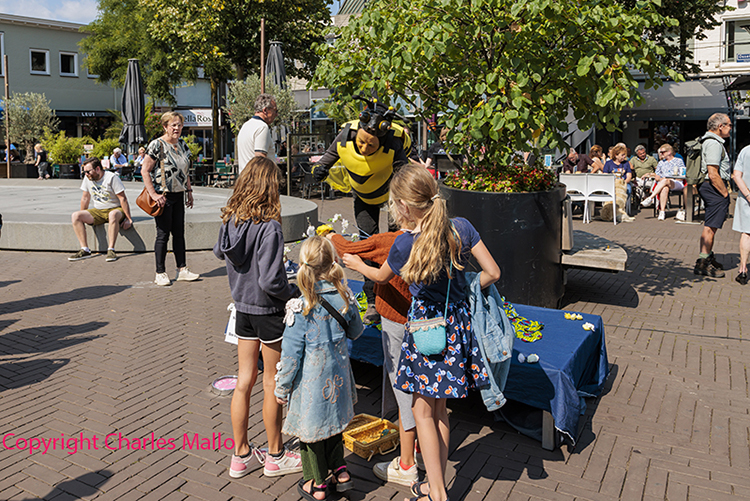 IMG_6290 kopie