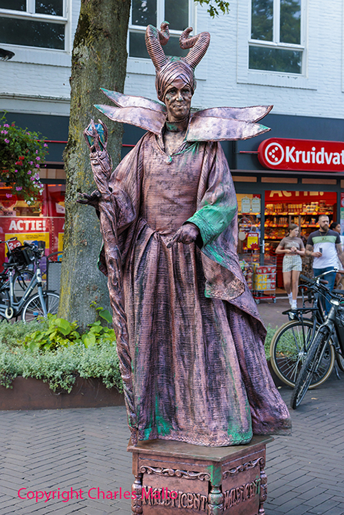 IMG_6327 kopie